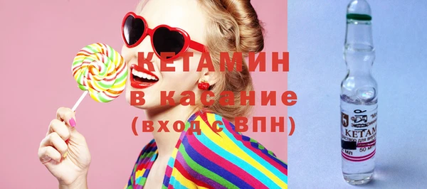индика Михайловск