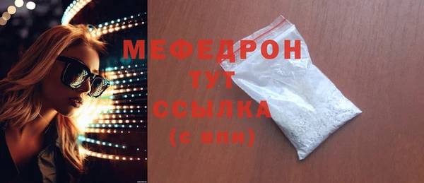 индика Михайлов