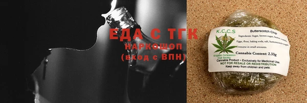 индика Михайловск