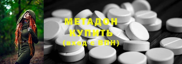 индика Михайловск