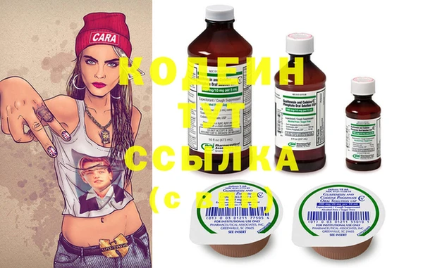 индика Михайловск