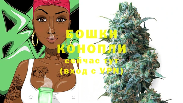 индика Михайлов