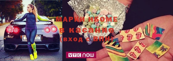 индика Михайловск