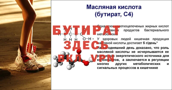 индика Михайлов