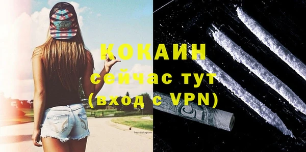 индика Михайловск