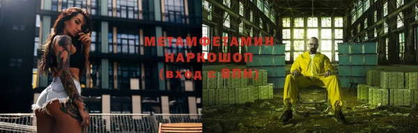 индика Михайловск