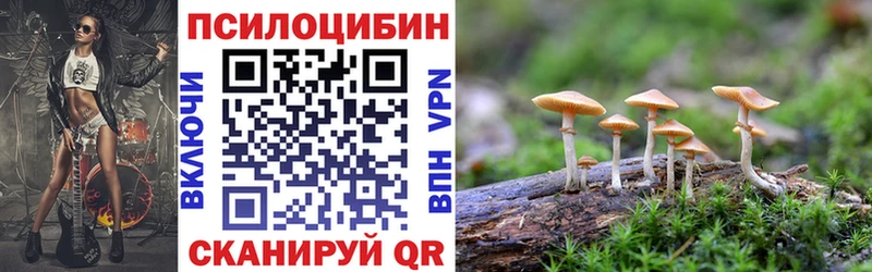 Галлюциногенные грибы Psilocybe  где купить   Кулебаки 