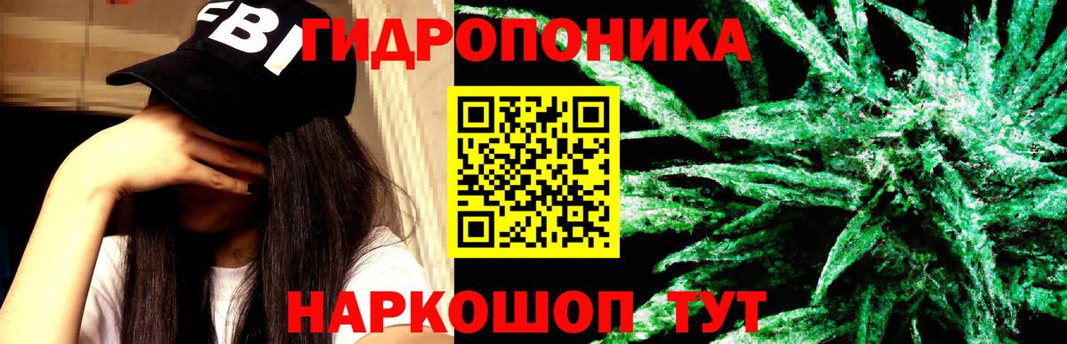 Марихуана OG Kush  Кулебаки  Бошки Шишки планчик  Шишки марихуана Ganja 